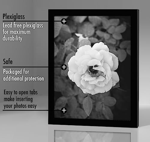 Americanflat 6x8 Picture Frame with Polished Plexiglass - Set of 5 - Galleria Collection - Picture Frames for Tabletop and...