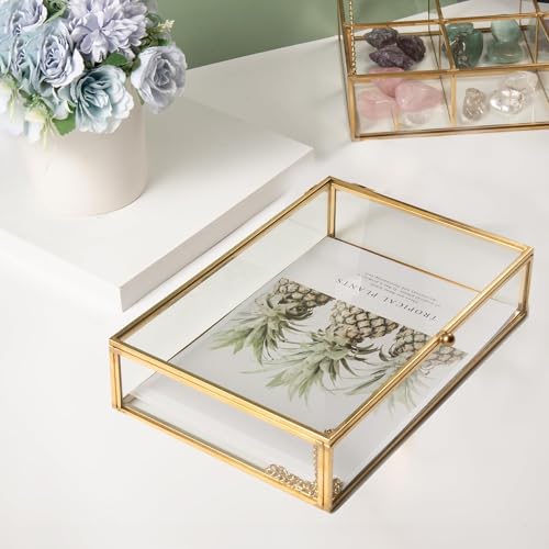 Feyarl Gold Glass Jewelry Trinket Box 5 x 7 Photo Cards Shadow Lidded Box Organizer Collection Display Case Decorative Kee...