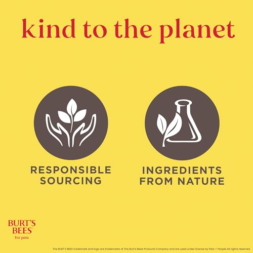 Burt's Bees for Pets Kitten Grooming Wipes with Buttermilk and Honey, Waterless Cat Bath Wipes for Face, Paws, Tail and Co...