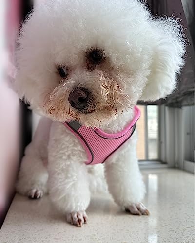 SOLMOONY Dog Harness for Small Medium Large Dogs No Pull, Puppy and Leash Set, Dogs, Step in Harness, mesh Harness. (Pink,...
