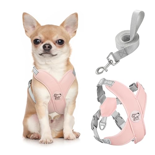 Pawaboo Small Dog Harness and Leash Set, Puppy Harness X-Frame No Pull No Choke, Dog Vest Harness Adjustable for Small Med...