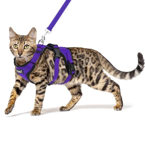 PUPTECK Cat Harness and Leash Set Escape Proof for Walking, Breathable Mash Vest Adjustable Harness for Cats Puppy Small A...