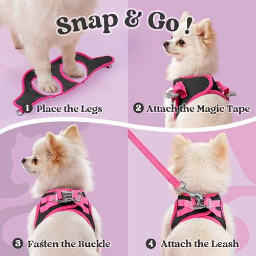 rabbitgoo Dog Harness Small Sized and Leash Set, Step-in Breathable Pet Harness, Soft Walking Reflective Puppy Vest for Sm...