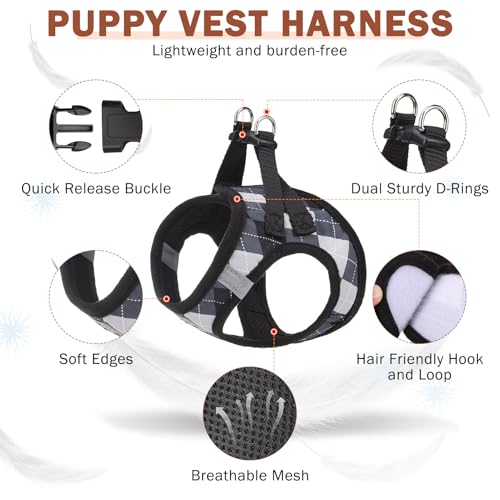 SCENEREAL Small Dog Harness and Leash Collar Set, Step in No Pull Soft Mesh Dog Harnesses for Small Medium Sized Dogs Pupp...