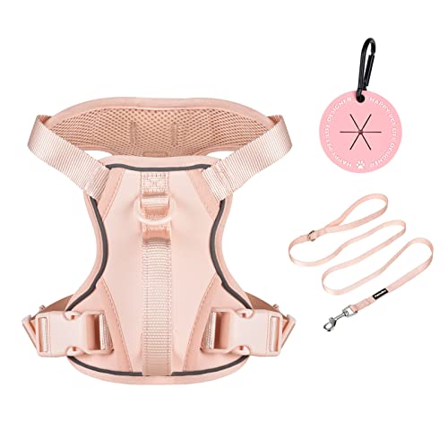Petmolico Dog Harness for Small Dogs, Cute Harness Vest with Two Leash Clips and Soft Handle, Reflective Easy Walk Puppy V...