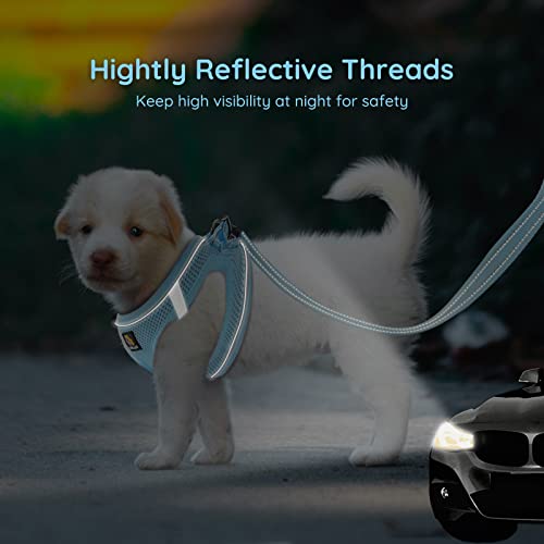 BELLA & PAL Step in Vest Harness for Small and Medium Dogs, No Pull Small Dog Harness with Leash Set, Comfortable Air Mesh...