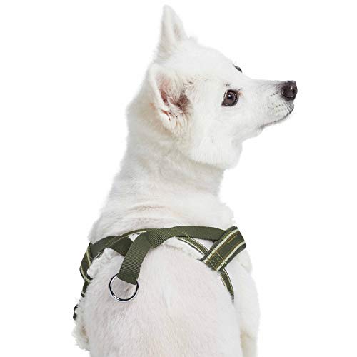 Blueberry Pet Soft & Comfy Multi-Colored Stripe Fleece Padded Chest Dog Harness, Chest Girth 16.5" - 21", Olive Green, Sma...