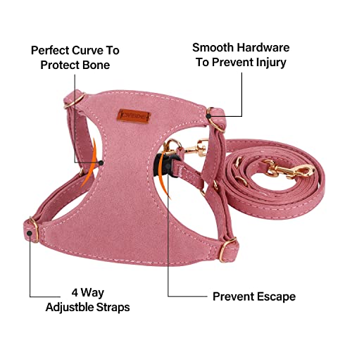 CHEDE No Pull Puppy Harness and Multifunction Dog Leash Set- 8 Colors Soft Adjustable No Choke Escape Proof Cute,Lightweig...