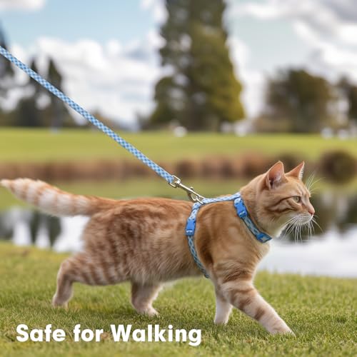 azuza Cat Harness and Leash Set for Safe Walking and Travel, Escape Proof Cat Harness, Lightweight Soft and Comfortable, A...