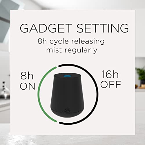 Air Wick Essential Mist Refill, 2 ct, Lush Honeysuckle & Raspberry, Essential Oils Diffuser, Air Freshener