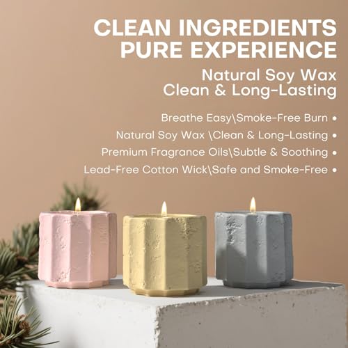 JueOne Scented Candles Set for Home, 6 Pack Natural Soy Wax Candle Gift Set, Non-Toxic Cement Jar Candles, Luxury Aromathe...