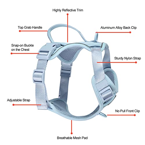 Petmolico Dog Harness for Small Dogs, Cute Harness Vest with Two Leash Clips and Soft Handle, Reflective Easy Walk Puppy V...