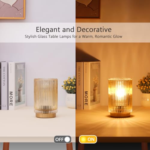 Mirasium Battery Operated Lamp, Cordless Table Lamp with Timer, Desk Bedside Lamps with LED Warm Light, Glass Small Table ...