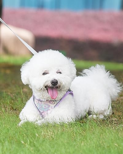 Aecllcea Dog Harness for Small Medium Dogs No Pull, Cat Harness and Leash Set, Step in Puppy Harness (Purple, XXS)