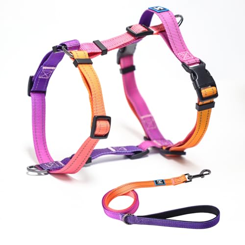 Roses&Poetry Small Dog Harness and Leash Set, No Pull Dog Harness Adjustable Reflective, Dog Halter Harnesses Comfort Padd...