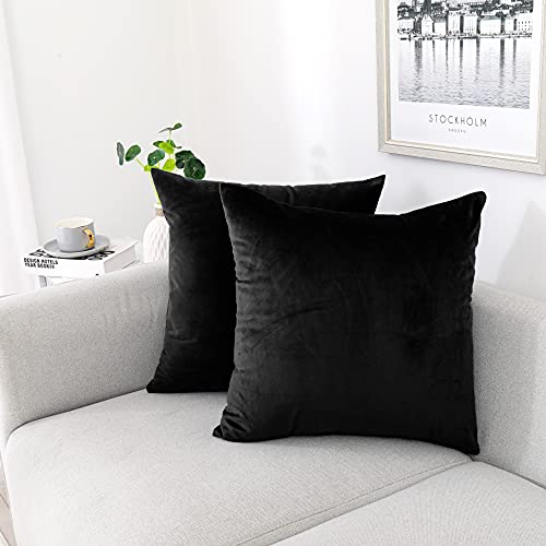 NiNi ALL Decorative Throw Pillow Covers Pack of 2, Velvet Throw Pillow Cases for Couch Pillows Cover Bedroom Living Room O...
