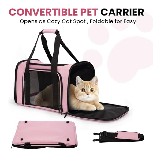 LOWIPARR Soft-Sided Cat Carrier Expandable Pet Carrier Airline Approved Mesh Travel Carrier Up to 22lbs for Cats Small Dog...