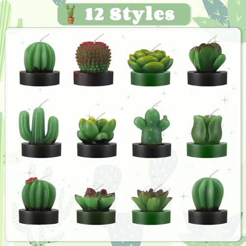 Lyrow 12 Sets Employee Appreciation Gift Cactus Tealight Candles Set Mini Handmade Succulent Candle Planter with Matchbox,...