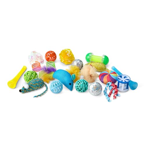 Amazon Basics Cat Toy Set, 20 Piece Variety Pack with Teaser, Ball, Feather, Spring
