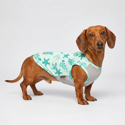Fitwarm 2 Pack Marine UPF 50+ UV Sun Protection Dog Shirt, Lightweight Cooling Vest, Quick Dry Summer Clothes for Small Do...