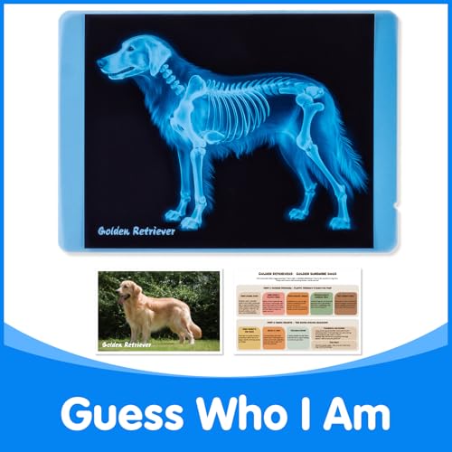 Odoorgames Pet Series Animal Xrays for Kids - Pet X-Rays Set, Light Table Manipulatives, Veterinarian Play Set & Dramatic ...
