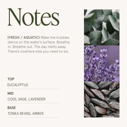 LA JOLIE MUSE Eucalyptus & Alpine Sage | Eucalyptus, Lavender & Sage Candle for Home Cleansing | 19 oz Wooden Wick | Natur...