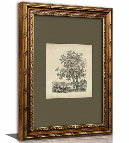 Kabcod Vintage Gold Framed Tree Wall Art Prints, Farmhouse Tree Forest Painting,Natural Sketch Landscape Pictures,Vintage ...