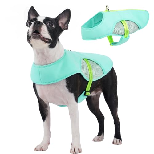 IECOii Dog Cooling Vest with Leash Ring for Summer, Reflective Breathable Dog Cooler Shirt, Adjustable Cooling Jacket Pet ...