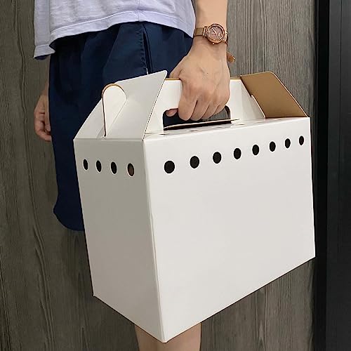 Cardboard Pet Carriers for Small Animals, Hamsters, Gerbils, Birds, Reptiles, Not for Cats or Dogs, Disposable Cardboard P...
