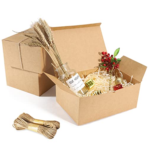 10 Pack Brown Gift Boxes, 9.45x6.5x4 Inches Kraft Paper Boxes with Lids for Valentine's, Birthday party, Wedding, Cupcake ...