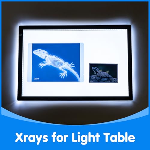 Odoorgames Pet Series Animal Xrays for Kids - Pet X-Rays Set, Light Table Manipulatives, Veterinarian Play Set & Dramatic ...