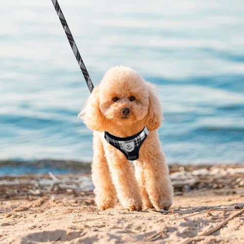 EXPAWLORER Classic Plaid Puppy Harness - Dog Collar and Leash - Soft Mesh Padded Adjustable Step in Small Dog Vest Harness...