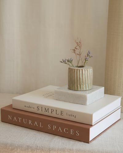 Beautiful Decorative Books - Set of 2 Boxes Enhance Your Coffee Table, Bookshelf or Mantel Shelf Decor - Aesthetic Fake/Fa...