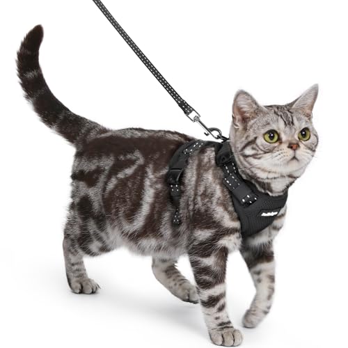 rabbitgoo Cat Harness and Leash, Escape Proof Vest with 3 Adjustable Buckles, Soft Comfortable Kitten Harness, Easy to Wea...