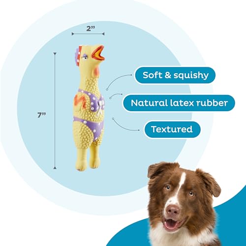 Outward Hound by Charming Pet Squawkers Henrietta Latex Squeaky Rubber Chicken Dog Toy, Funny Interactive Holiday Toy for ...
