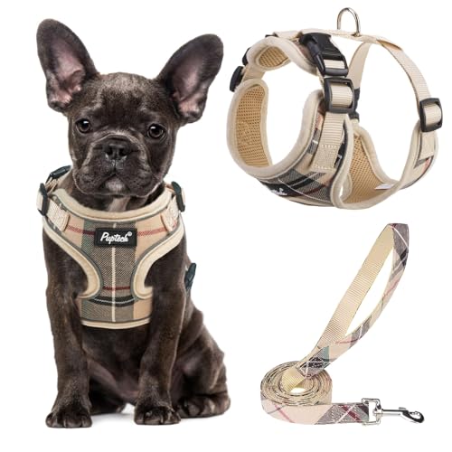 PUPTECK Soft Mesh Dog Harness and Leash Set Pet Puppy Cat Adjustable Reflective Padded Vest No Pull Harnesses, Beige, S