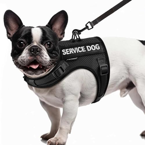 FAYOGOO Service Dog Vest for Small Dogs - Air Mesh Breathble Emotional Support Animal Vest with Velcro Patches - Puppy Har...