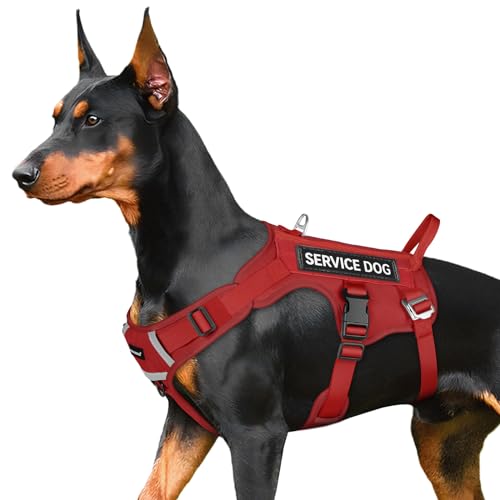 FAYOGOO Service Dog Harness for Medium Dog - Mesh Breathable Dog Harness Escape Proof with Handle - No Pull Military Servi...