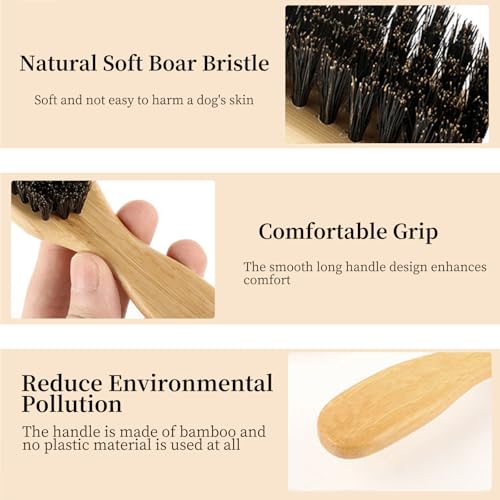Soft Boar Bristle Dog Brush for Short Haired Dogs - Made of Wood, Gentle Deshedding & Grooming Tool, Ideal Dog Hair Brush ...