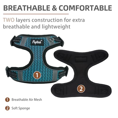 PUPTECK Dog Harness and Leash Set Small Sized, Step in No Pull Adjustable Puppy Cat Harness Reflective Pet Vest