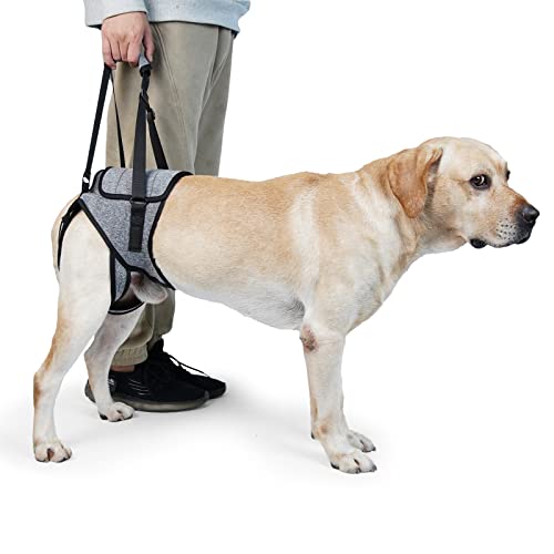 Dog Lift Harness, TORJOY Dog Sling for Small Medium Large Dogs, Dog Support Harness for Back Legs, Adjustable Soft Padded ...