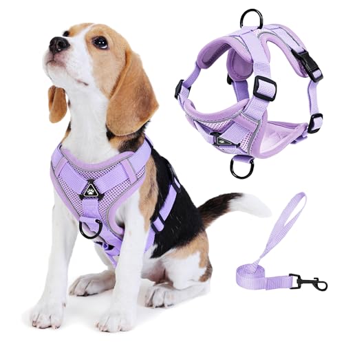 Jolifield No Pull Dog Harness with Leash Set for Small Sized Dog, Reflective Adjustable No Choke Front Clip Cat Vest Harne...