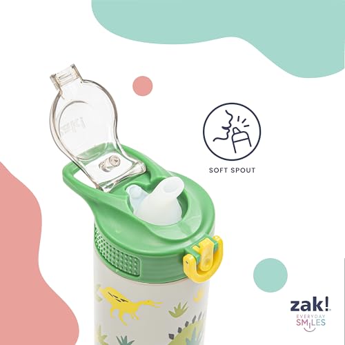 Zak Designs Sanrio Sage Kids Water Bottle For School or Travel, 19oz Stainless Steel Water Bottle With Straw, Handle, and ...