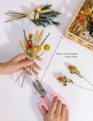DIY Natural Dried Flower Set, Bulk Dried Flowers for Vase, Dried Flowers with Stems, Dried Roses, Mini Dried Flower Bouque...