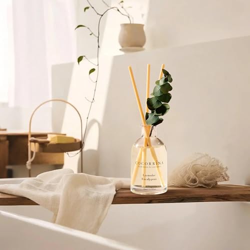 COCORRÍNA Eucalyptus Reed Diffuser Set of 3 - Lavender Eucalyptus, Black Forest, Clean Cotton Scents, 1.7 fl oz Each, Tota...