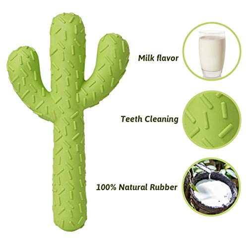 MewaJump Dog Chew Toys, Durable Rubber Dog Toys for Aggressive Chewers, Cactus Tough Toys for Training and Cleaning Teeth,...