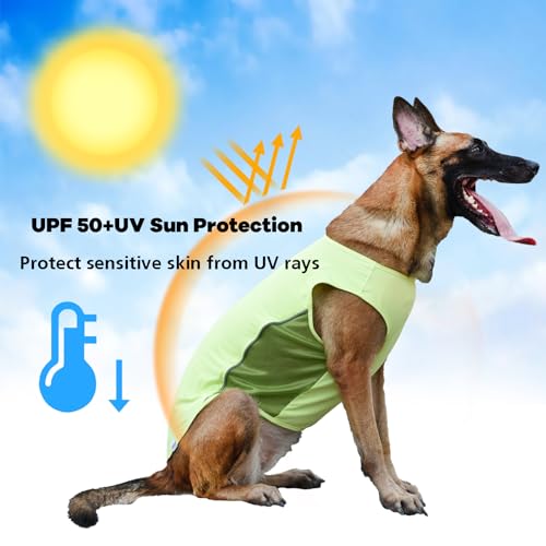 UNIPUP UPF 50+ Sun Protection Shirt, Quick-Dry Soft Clothes for Small Medium Dogs, Breathable Lightweight T-Shirts with Re...