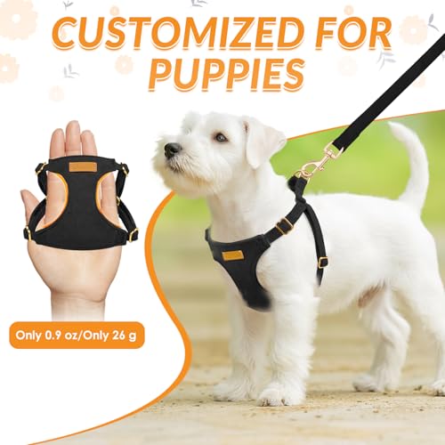 SlowTon Dog Harness Small Sized Dog - Soft XXS Dog Harness and Leash Set No Pull No Chock, Adjustable Lightweight Puppy Ha...