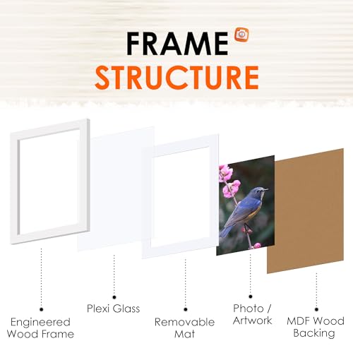 FIXSMITH 5x7 Picture Frame Bulk-4 Pack, Photo Frame with HD Plexiglass, Display Pictures 4x6 with Mat or 5x7 Without Mat, ...