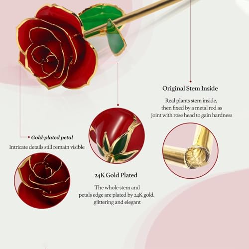 Easegain Gold Dipped Rose 24k Red Gold Plated Rose - Everlasting Long Stem Real Rose Exquisite Holder, Romantic Gift for V...